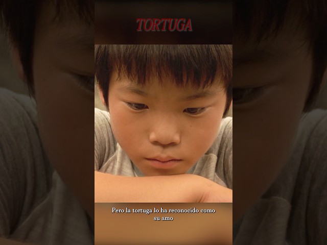 Vídeo relacionado con the Fan Tee Sudadera Adulto con Capucha de Hombre Peliculas Mogwai La Criatura más Adorable del Cine Retro 010 XL