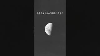 曲作ってみたから曲名募集中#作曲 #作曲してみた #オリジナル曲 #newmusic