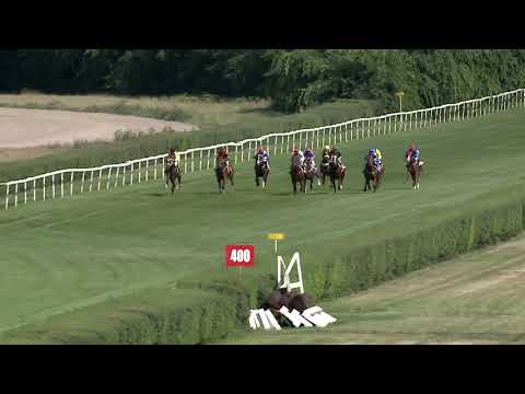 2020.08.02. 03. NYERETLEN KÉTÉVESEK VERSENYE (IV.kat.)