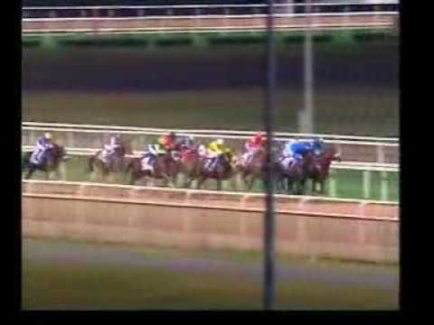 Al Maktoum Challenge R1 - Sakhee - 2009