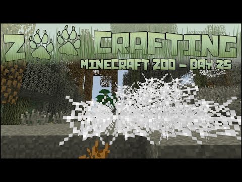 Spiders in the Silk Glades! 🐘 Zoo Crafting: Season 2 - Episode #25