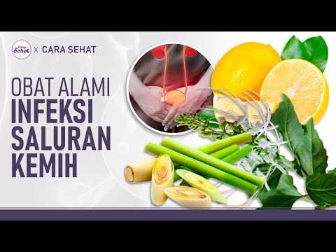 Ramuan Alami untuk Mengatasi Infeksi Saluran Kemih | Hidup Sehat tvOne
