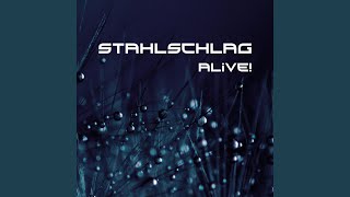 Music video thumbnail preview for Shake 'Em by Stahlschlag