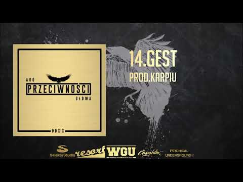 ADO X GŁOWA - Gest
