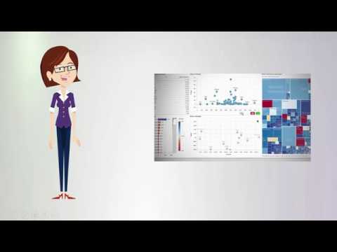 Alianxa EN003 Our Analytics Outsourcing SAS Process