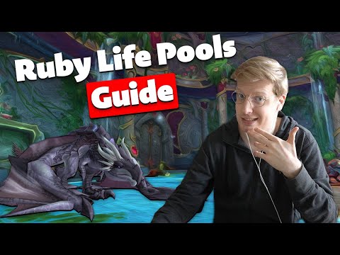 Ruby Life Pools M+ Dungeon Guide!!