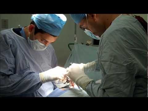 download lagu mp3 mp4 La Vida Del Sureo, download lagu La Vida Del Sureo gratis, unduh video klip La Vida Del Sureo