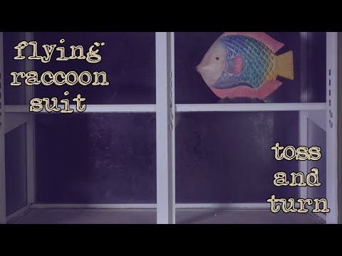 Flying Raccoon Suit - "Toss and Turn" (Official Video)