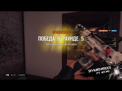 The best and funny moments in Tom Clancy's Rainbow Six Siege and Ace with Dokkaebi