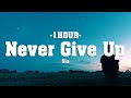 Sia - Never Give Up (Lyrics) [1HOUR]