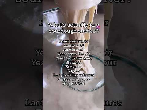 Begins with Flour & Water