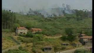 preview picture of video 'Fogo/Incêndio na Serra da Freita - Agosto 2010'