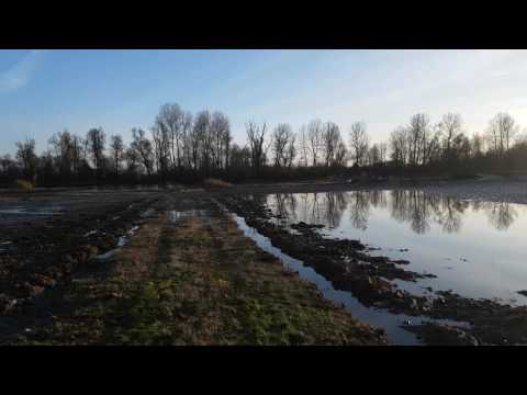 Torino alluvione il giorno dopo 26/11/2016  4k