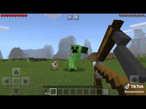 Minecraft mutant cripir