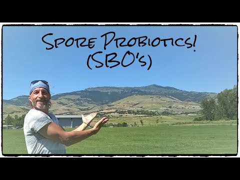 Spore Probiotics! (SBO's) 9/14/19