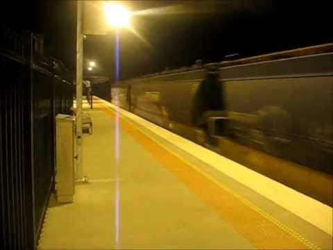 G539, XR551 & X43 down PN Grain