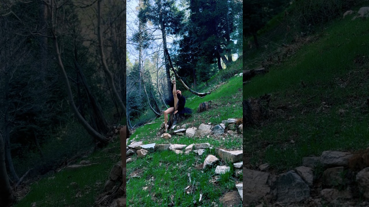 Promotional video thumbnail 4 for Pas de deux