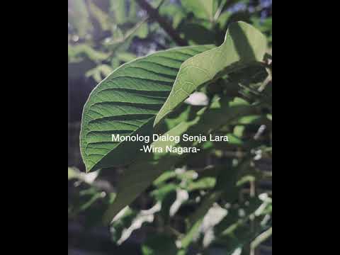 Monolog Dialog Senja ft Wira Nagara - Dendam