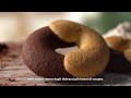 Mulino Bianco Raccolta Punti Colazione 2022 Abbracci
