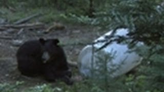 Ted Nugent Spirit of the Wild goes to Quebec for some rug steak!