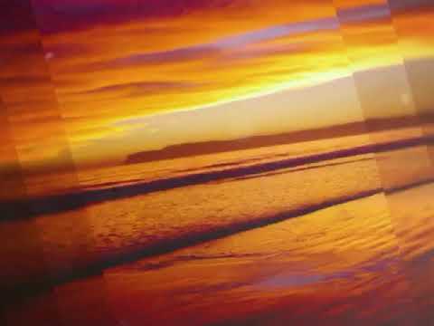 WoNKed Records 077: Ilektrify Featuring Tara Louise - The Game (Original Mix)