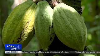 Ghanaian cocoa famers wary of missing price boon