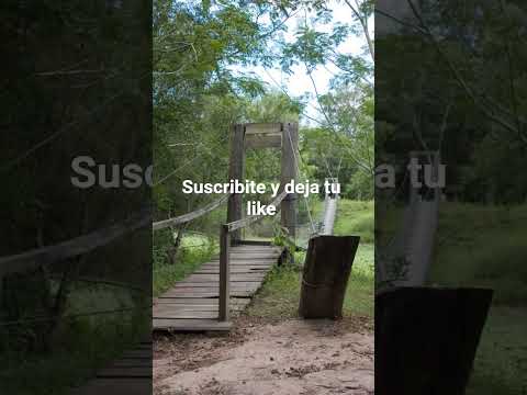 pampa del indio chaco