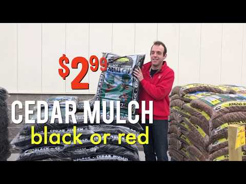 Gow's Home Hardware and Furniture Grand Opening 2019