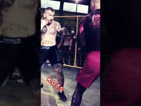 #PANZER VS #FRANC🇵🇱💪