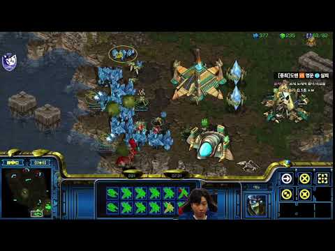 【27.1.26】 SC:R 1v1 (FPVOD) Best (P) vs Queen (Z) 【Map: Neo Sylphid】