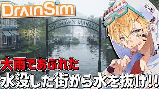 大雨で浸水した街から水を全部抜くシュミレーションゲーム『 DrainSim 』【 エビオ/にじさんじ 】