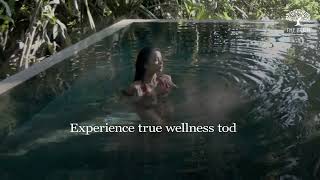Luxury Wellness Living in Nature | The Farm at San Benito