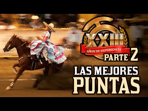 Best TIPS Part 2 - Millionaires Fishing Grounds 2020 THV