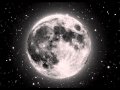 Petra Magoni - Guarda che Luna 