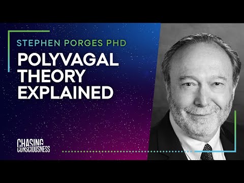 POLYVAGAL THEORY EXPLAINED -Stephen Porges PHD #5
