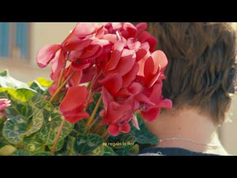 Jalezz - Bala Perdía