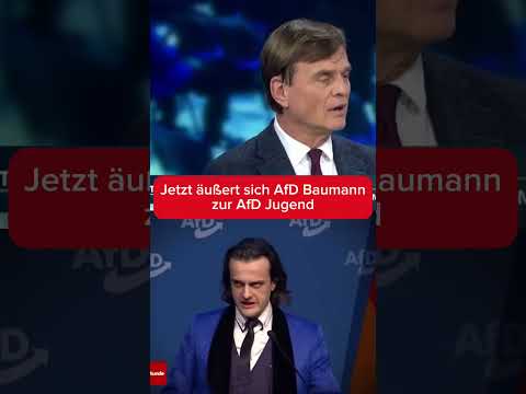 ❌ jetzt äußert sich die AfD❌ #afd #cdu #weidel #bundestag #alternativefürdeutschland #politik
