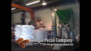 preview picture of video 'Georgia Pecan Company WSST Commercial'