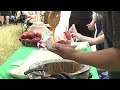 Footage Of Past Lincoln Apple Festivals