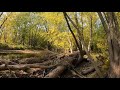 Trout Ponds Prairie in Racine, Wisconsin 10-10-2020