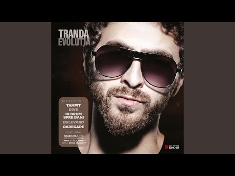 Ceva Fin (feat. Criss Blaziny & Nane)