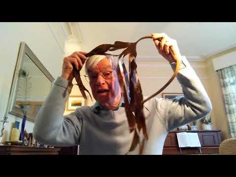 Topic Singers Session - January 2021