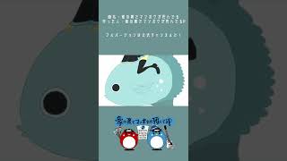 - 家の裏でマンボウが死んでる #vocaloid #初音ミク #ボカロ