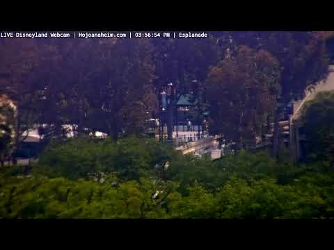 Live webcam of Disneyland Cam