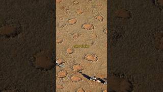 The mystery of the Namibia Fairy Circles