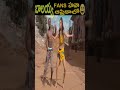 Balakrishna S Fans Amazing Dance In Africa FUNNY VEERA FUNNY VIDEOS SHORTS Balakrishna