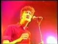 The Bluebells I M Falling 17th April 1984