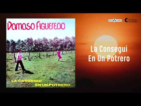 La Conseguí En Un Potrero - Damaso Figueredo | Cover Audio | Música Llanera