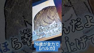 16歳が-2キーで【ハルカ】歌ってみた #ハルカ #YOASOBI 様 #歌ってみた #アカペラ #shorts