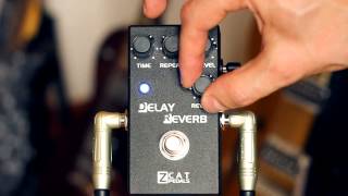 Video thumbnail for ZCAT DELAY-REVERB Demo by ZCAT Pedals